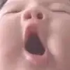 不是伊利–