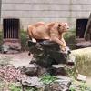 建安汇用户头像