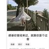 建安汇用户头像