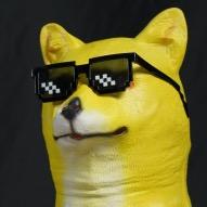 奇葩研究所@抖音