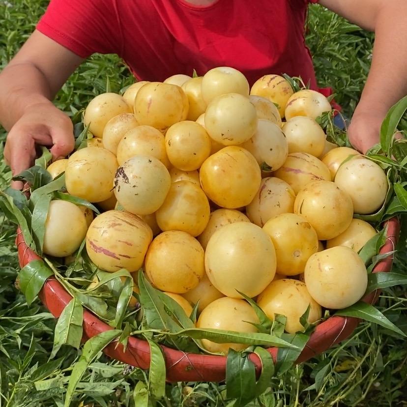 村里人农副产品@抖音