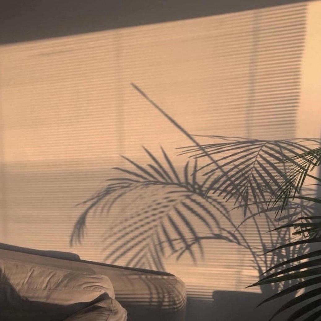 宽城区双穆网络工作室@抖音