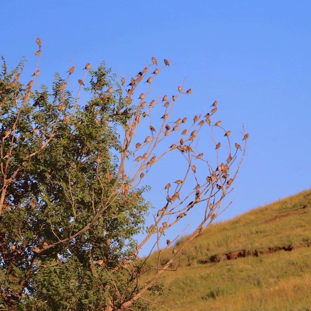 深圳市福田区优奇服饰店@抖音