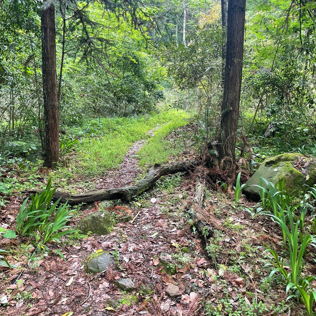 沐然生态造景师小龙@抖音