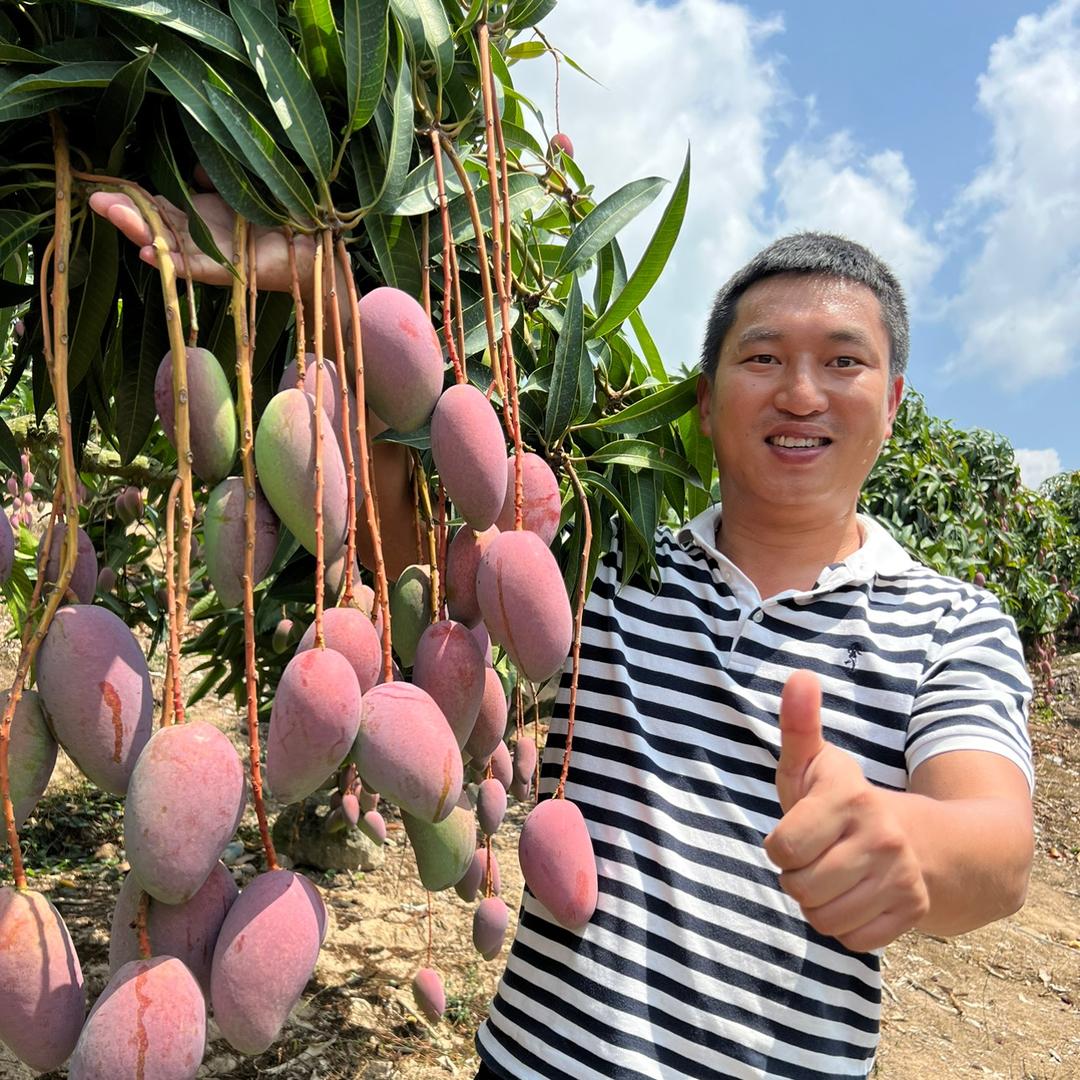 村里的小兵@抖音