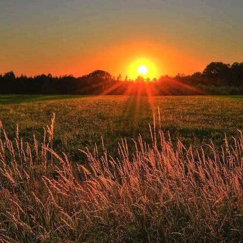 多米爱看短剧@抖音