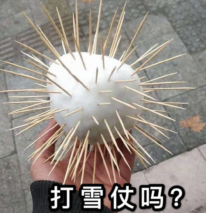 人类驯服野生雪花珍贵资料(二)