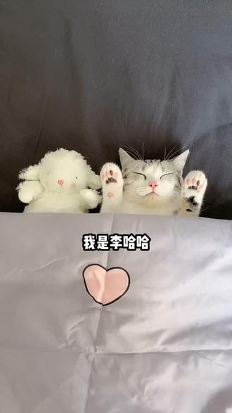 精选片段 共10s " 重播 播放 下个视频:第28集 | 那只调皮的小猫还是