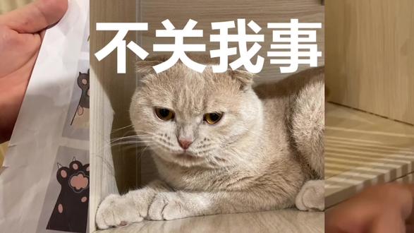 掌纹 手 斗 抖音推广助手 抖音小助手 抖音